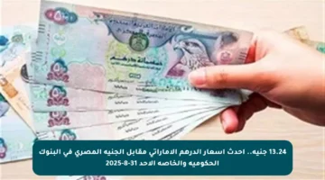 13.24 جنيه.. أحدث أسعار الدرهم الإماراتي مقابل الجنيه المصري في البنوك الحكومية والخاصة الأحد 31-8-2025